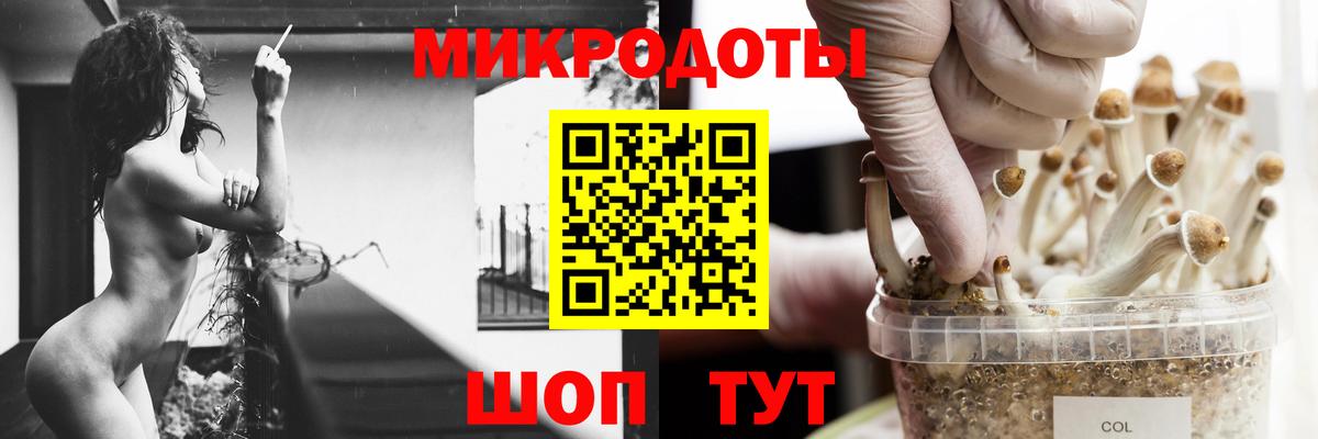 Галлюциногенные грибы ЛСД  Псилоцибиновые грибы MAGIC MUSHROOMS  Вход с VPN  наркошоп  Баксан 